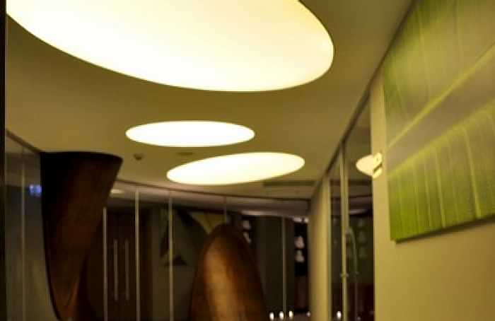 Transparan Gergi Tavan